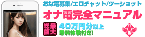 オナ電マニュアル